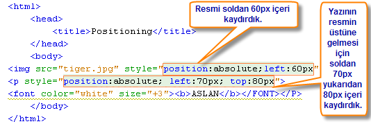 Outlines, Padding, Positioning, Table, Text, Pseudo-classes, Pseudo-elements