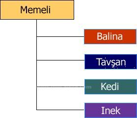 Başlıksız İçerik______________________