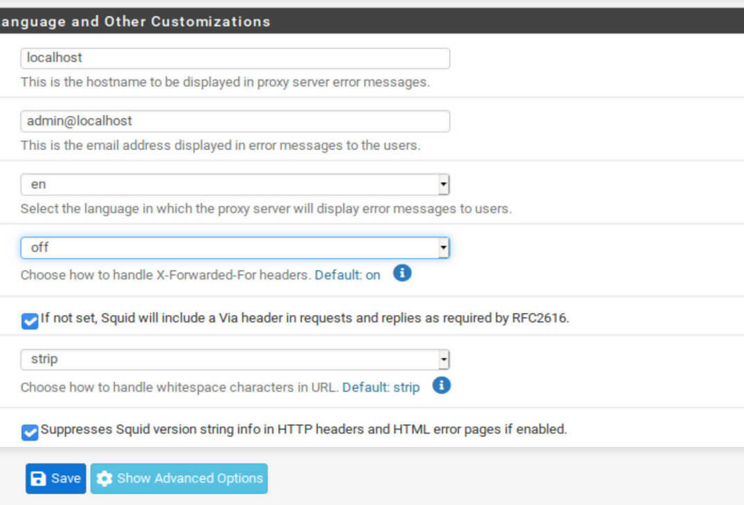 Pfsense Squid ve SquidGuard Paketlerinin Kurulması 2025